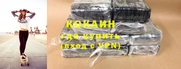 шишки Богородск