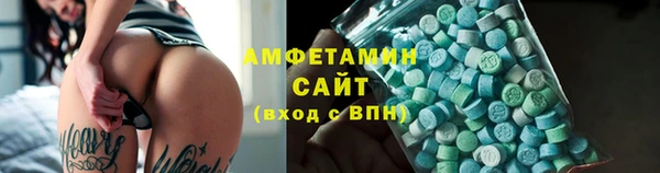 МДПВ Инсар