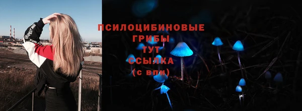 кокаин перу Богданович