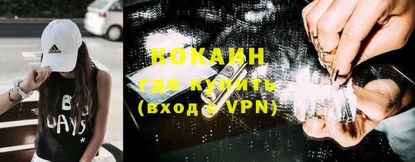 шишки Богородск