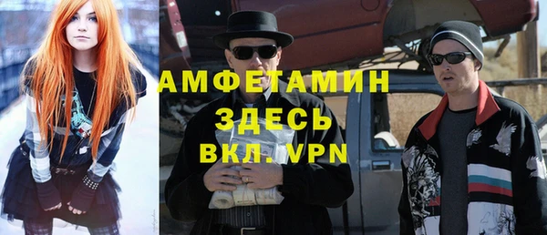 шишки Богородск